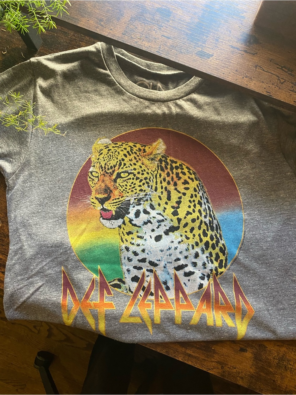 Chaser Def Leppard Graphic Tee